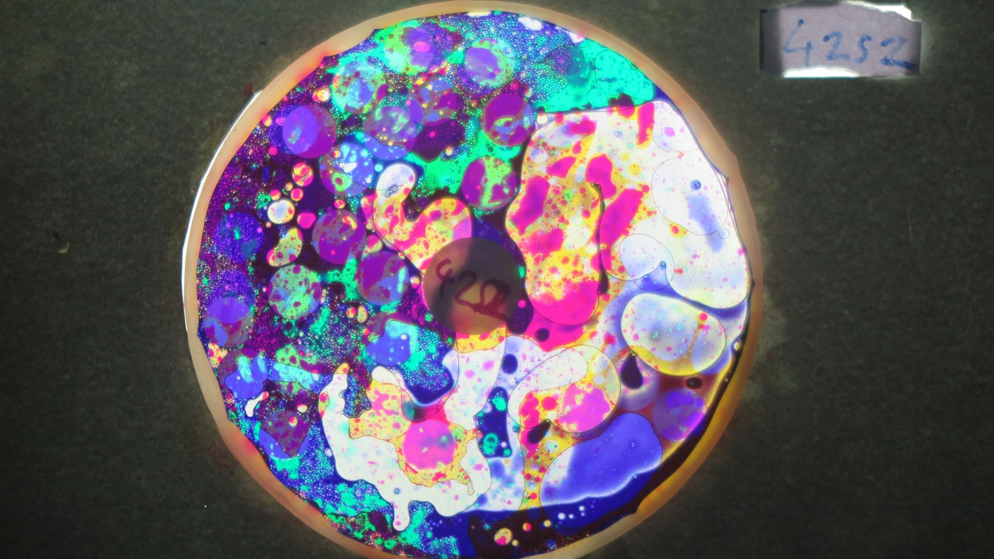 BV4252 bubble vision oil wheel